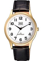 Q&Q IP Series C214J104