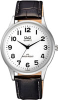 Q&Q IP Series C214J304
