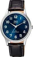 Q&Q IP Series C214J315