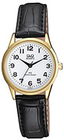 Q&Q IP Series C215J104
