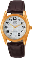 Q&Q Standard Q638J104