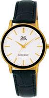 Q&Q Standard Q850J101