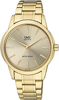 Q&Q Standard Q860J010