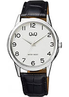 Q&Q Standard Q860J304