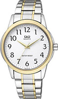Q&Q Standard Q860J404