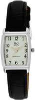 Q&Q Standard Q881J304