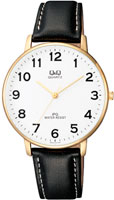 Q&Q IP Series QZ00J104