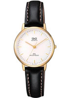Q&Q IP Series QZ01J101