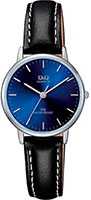 Q&Q IP Series QZ01J312
