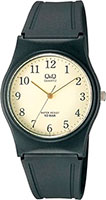 Q&Q Plastic VP34J001Y