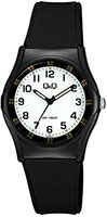 Q&Q Plastic VQ04J011Y