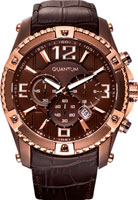 Quantum Powertech PWG377.742