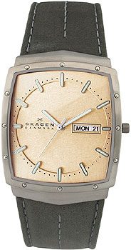 Часы Skagen TITANIUM 396LTMLD