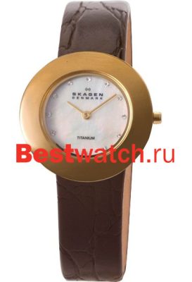 Вся коллекция Leather Titanium
