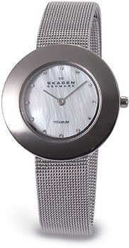 Часы Skagen Mesh 569STW