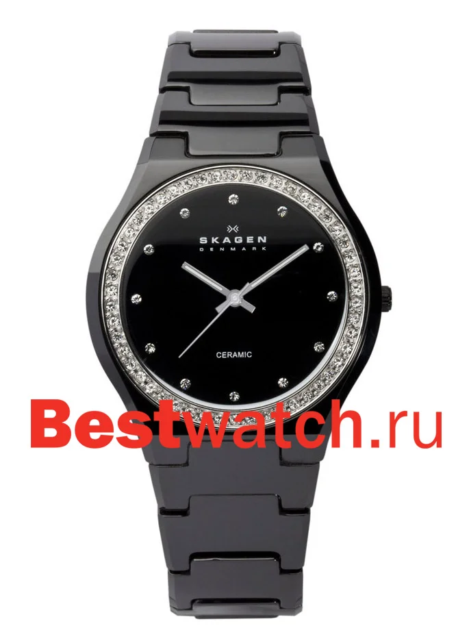 Skagen 813LXBC