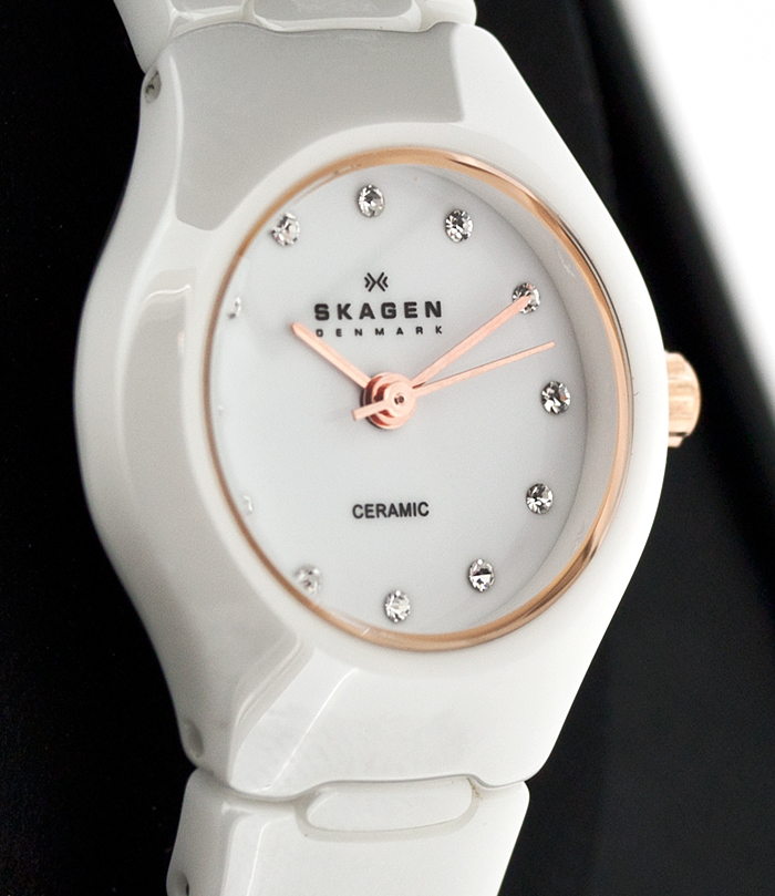Skagen 816XSWXRC1