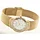 Skagen 818SGG
