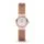 Skagen SKW2132