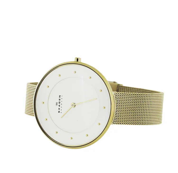 Skagen SKW2141