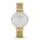 Skagen SKW2150