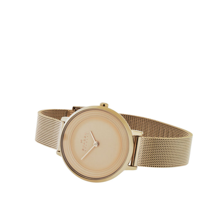 Skagen SKW2213