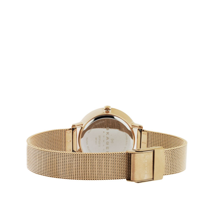Skagen SKW2213