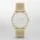 Skagen SKW2377