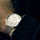 Skagen SKW6025