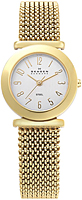 Skagen Mesh 107SGG1