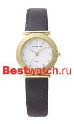 Skagen Leather 107SGLD