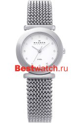 Skagen Mesh Classic 107SSSS1