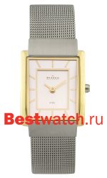 Skagen Mesh Rectangular 224SGS