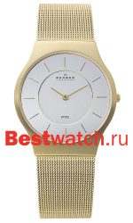 Skagen Mesh 233LGG