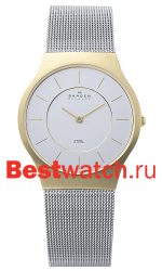 Skagen Mesh 233LGS
