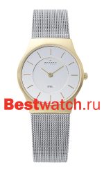 Skagen Mesh 233SGS
