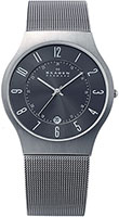 Skagen Mesh 233XLTTM