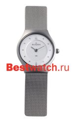 Skagen Mesh Classic 233XSSS1