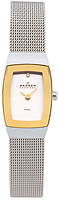 Skagen Mesh Rectangular 271SGSC