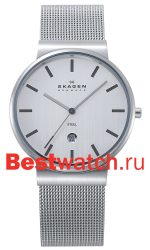 Skagen Mesh Classic 351LSSCM