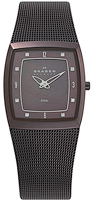 Skagen Mesh 380SMM