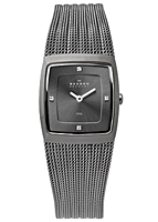 Skagen Mesh 380XSMMM1