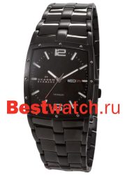 Skagen Links Titanium 396LTMXB