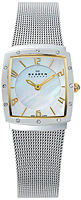 Skagen Mesh Rectangular 396XSGS