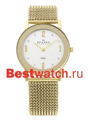 Skagen Mesh 39LGG1