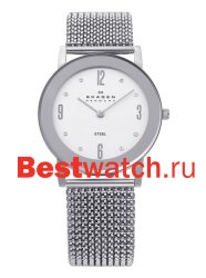 Skagen Mesh 39LSSS1