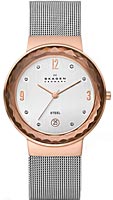 Skagen Mesh 456LRS