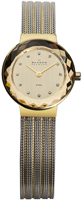 Skagen Mesh 456SGS1