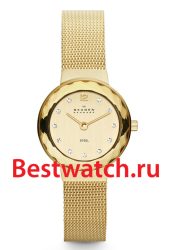 Skagen Mesh 456SGSG