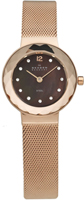 Skagen Mesh 456SRR1
